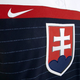 Illustration for article titled We Need To Steal This Idea From Slovakias Olympic Hockey Jerseys
